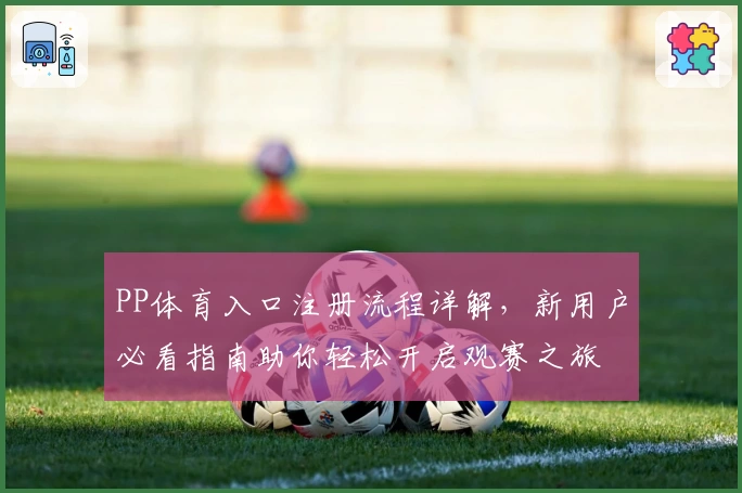 PP体育入口注册流程详解，新用户必看指南助你轻松开启观赛之旅