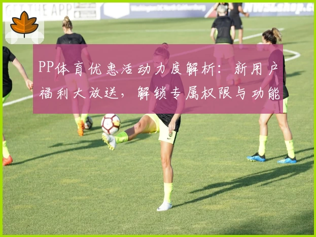 PP体育优惠活动力度解析：新用户福利大放送，解锁专属权限与功能亮点体验