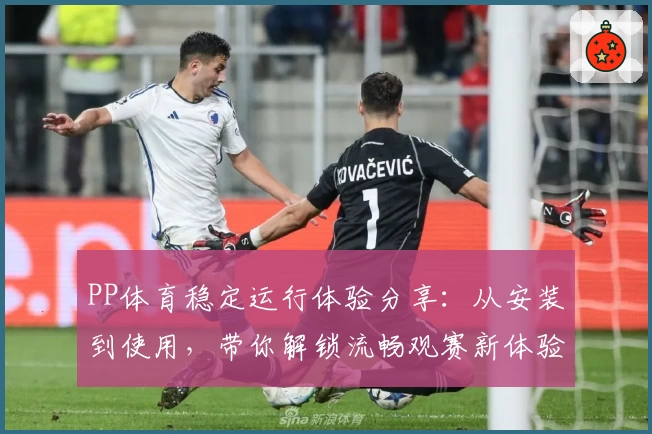 PP体育稳定运行体验分享：从安装到使用，带你解锁流畅观赛新体验