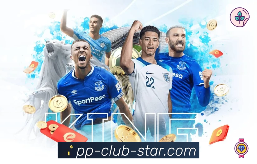 pp体育 pp体育 平台生态示意图